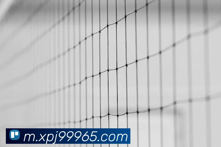 xpjAPP 体育赛事宣传图
